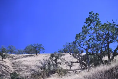 DSC_2183 (Large).JPG